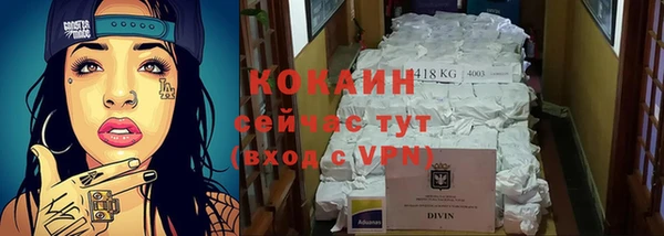 СК Алексин
