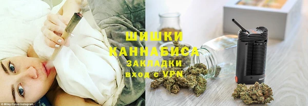 PSILOCYBIN Алзамай
