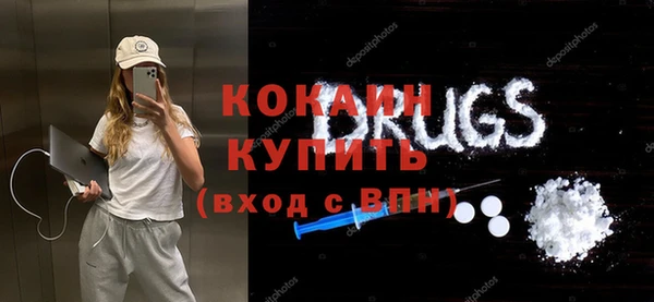 СК Алексин