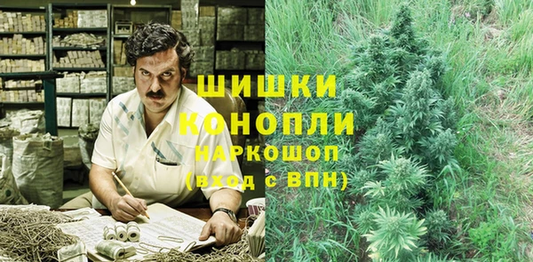 PSILOCYBIN Алзамай