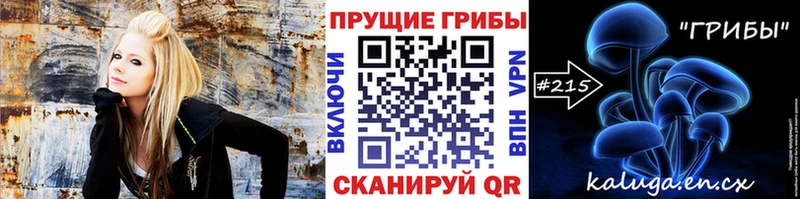 Псилоцибиновые грибы Psilocybine cubensis  Сокол 