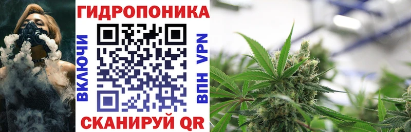 Канабис MAZAR  наркота  Сокол 